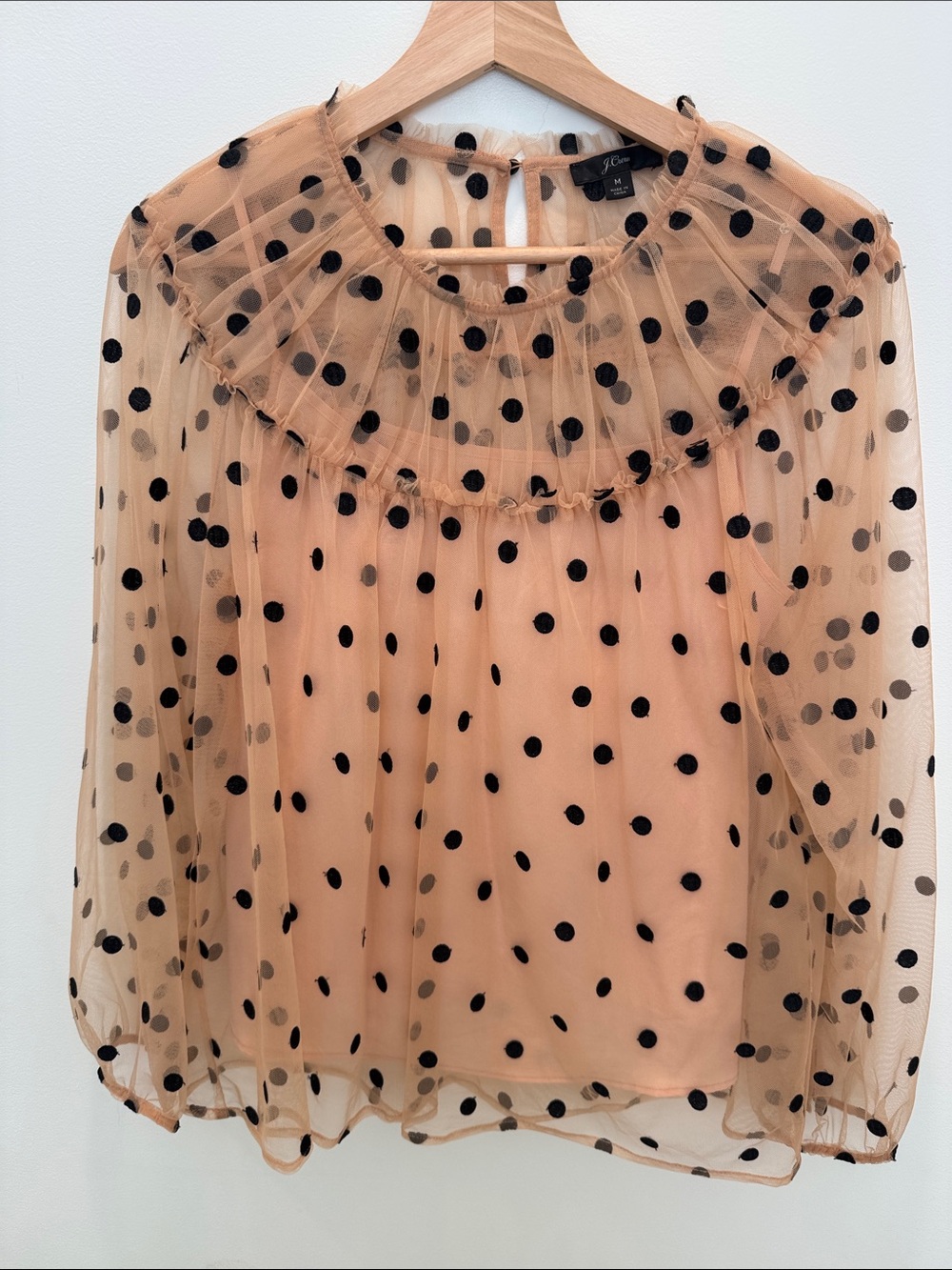 J. Crew Sheer Polka Dot Ruffle Collar Blouse